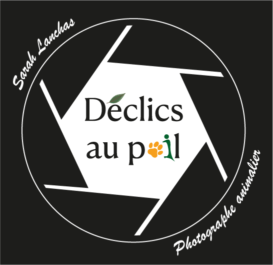 logo foncé vectorisé