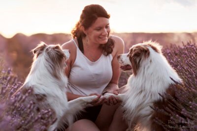 declics au poil berger australiens oban&soha declics au poil berger australien oban&soha