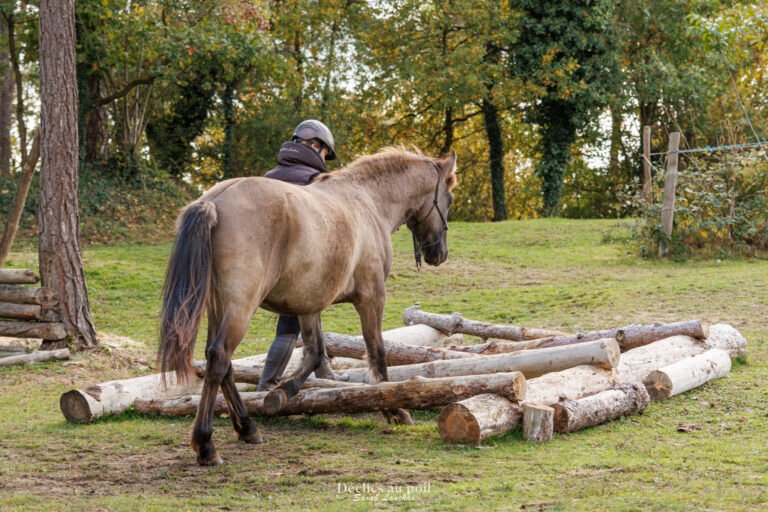séance photo equine en essonne mountain trail