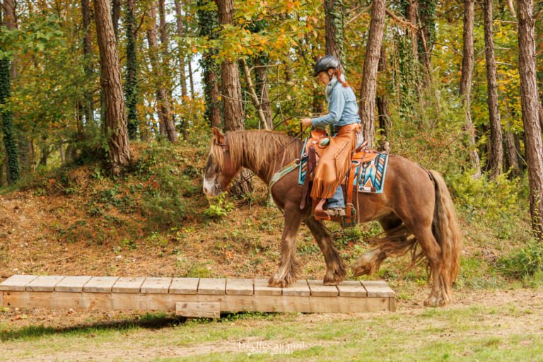 séance photo equine en essonne moutain trail