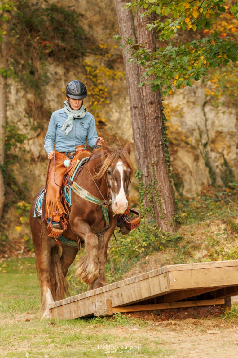 séance photo equine en essonne moutain trail