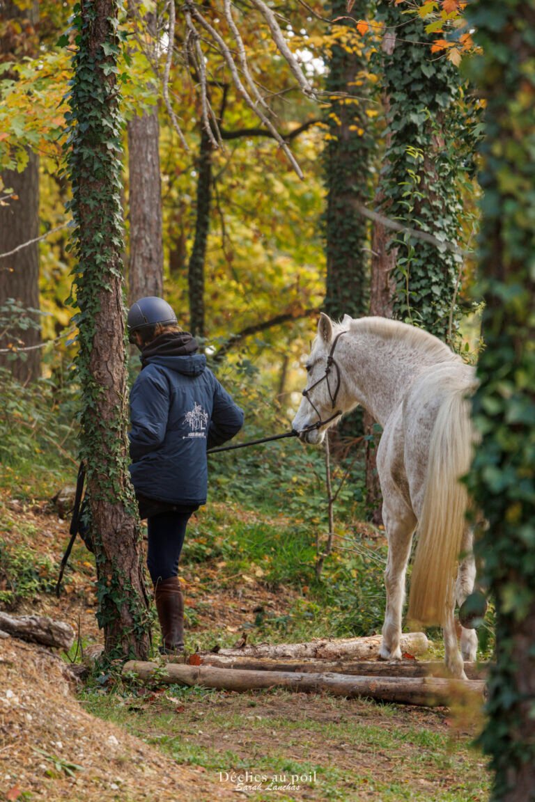 séance photo equine en essonne mountain trail
