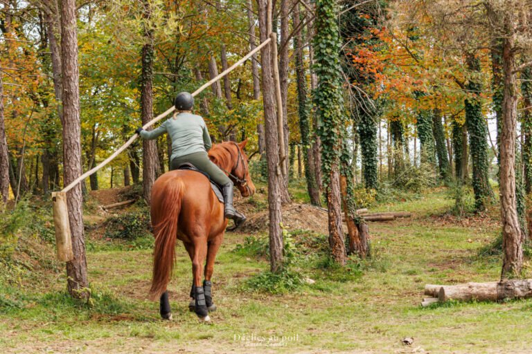 séance photo equine en essonne mountain trail