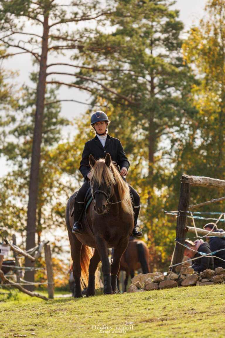 séance photo equine en essonne mountain trail