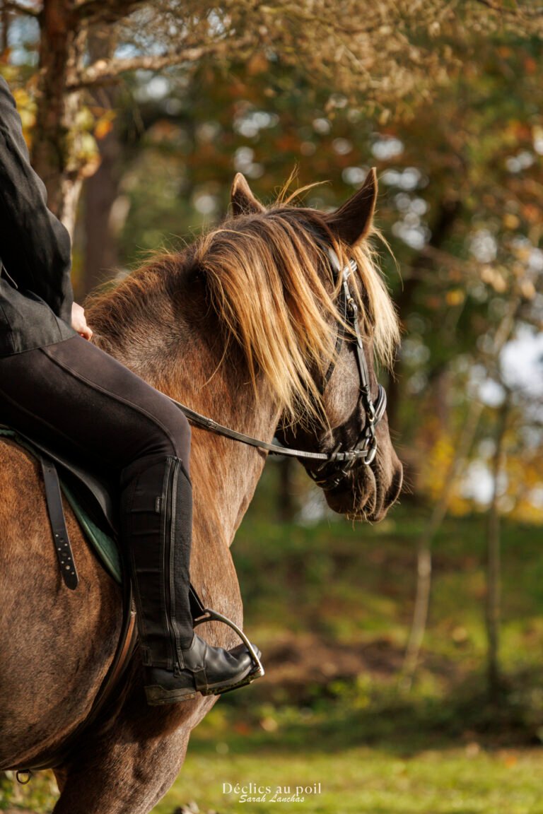 séance photo equine en essonne mountain trail