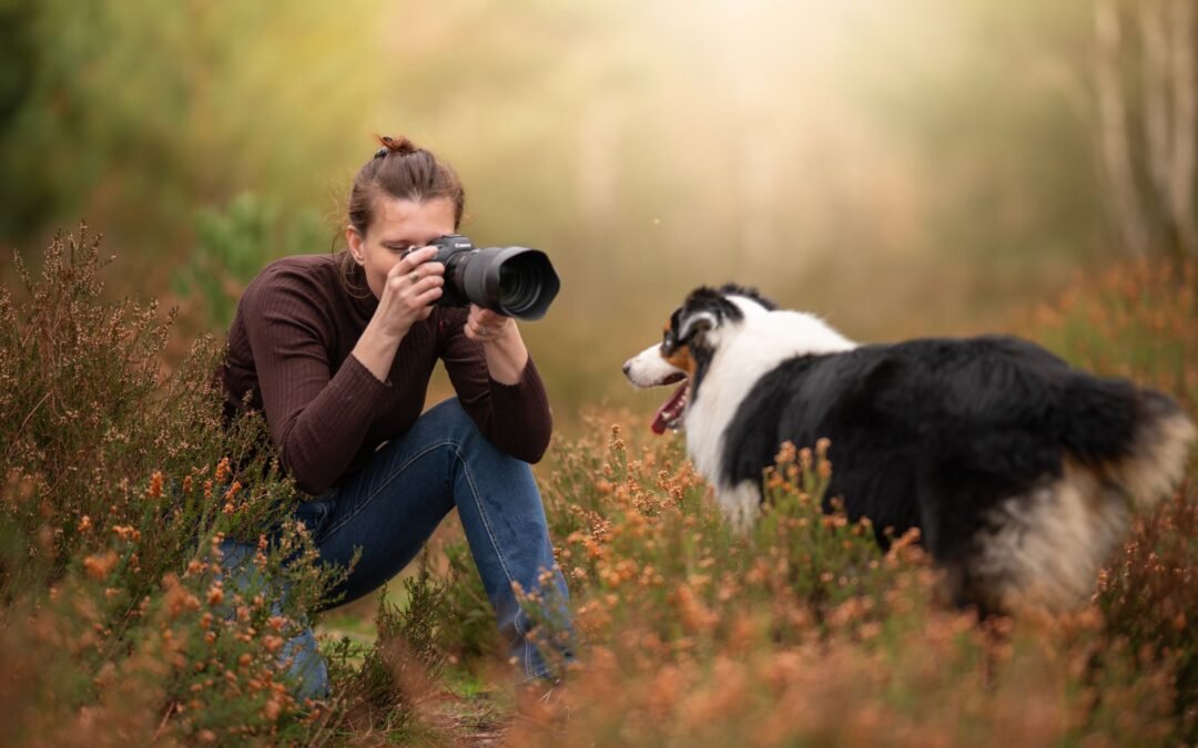 declic au poil sarah photographe canin essonne