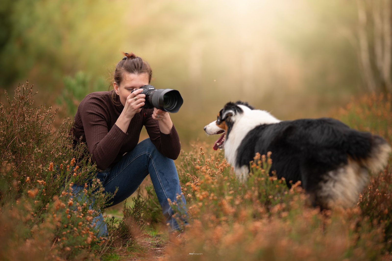 declic au poil sarah photographe canin essonne declic au poil sarah photographe canin essonne