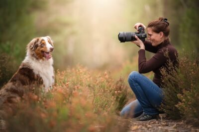 declic au poil sarah photographe chien fontainebleau