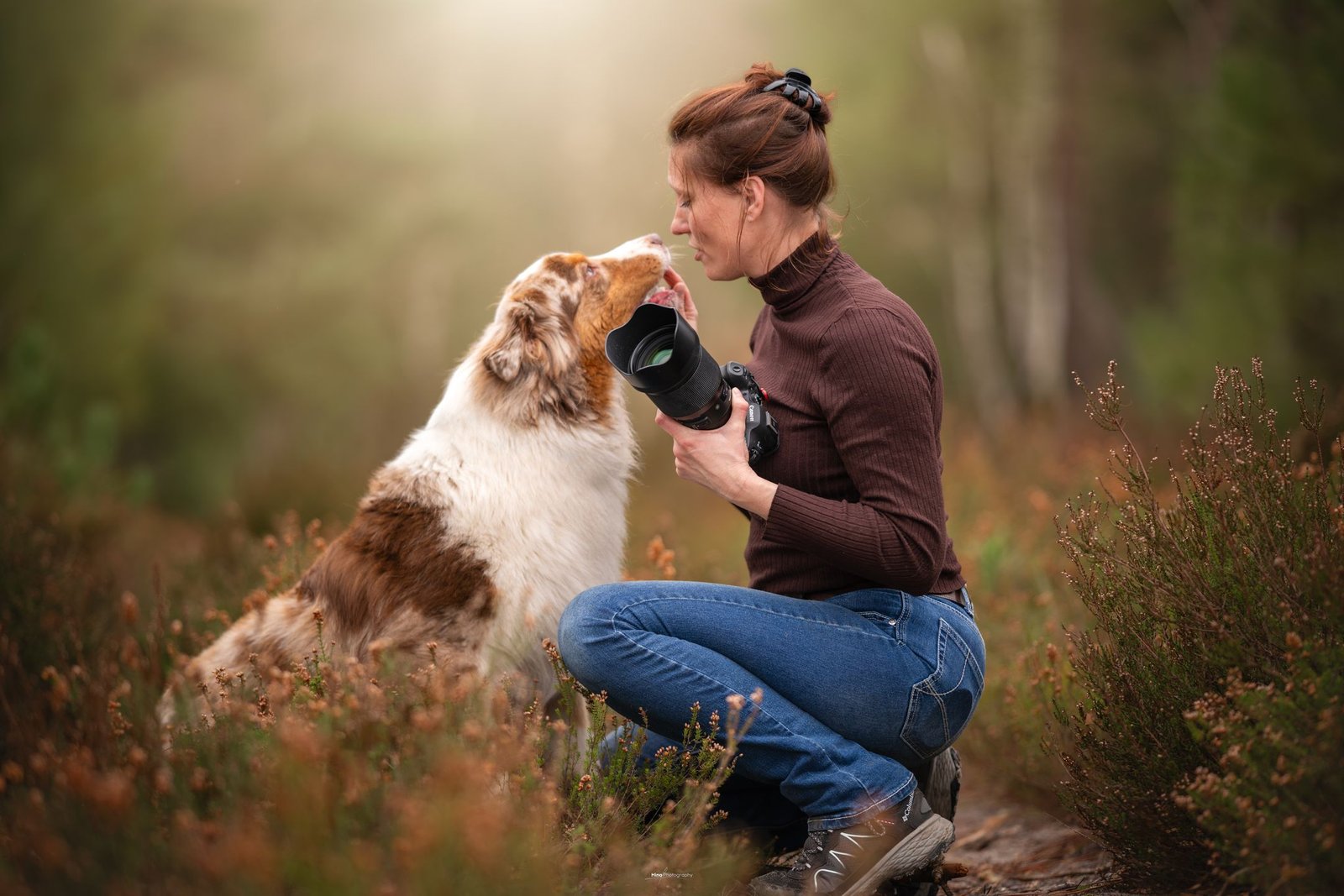 declic au poil sarah photographe chien milly la forêt declic au poil sarah photographe chien milly la forêt