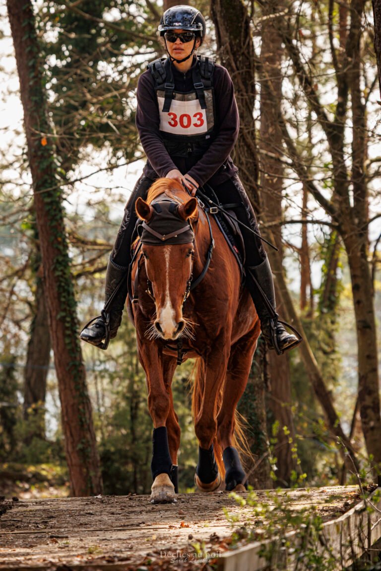 photographe cheval trec passerelle essonne