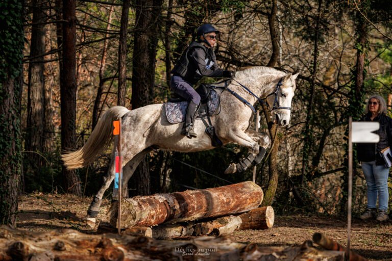 photographie equitation cheval saut en cross essonne