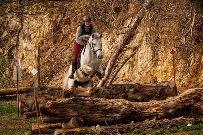 photographe equitation trec saut essonne