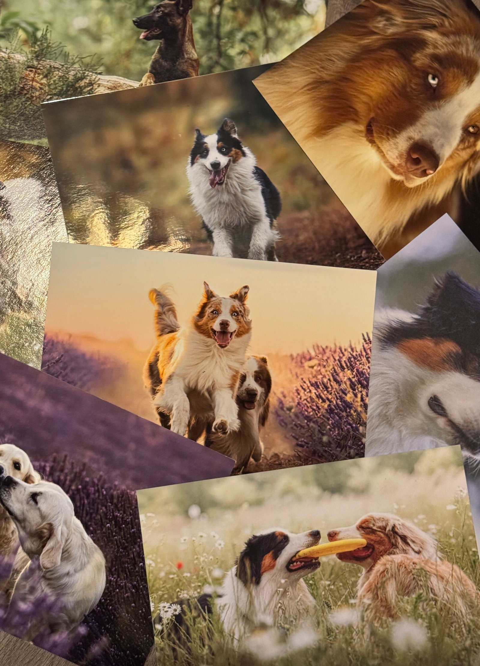 tirage sur papier photo