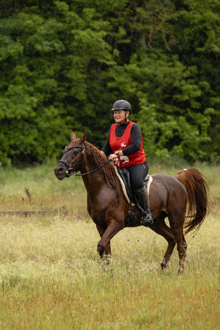 photo d'un cheval en concours d'endurance en essonne