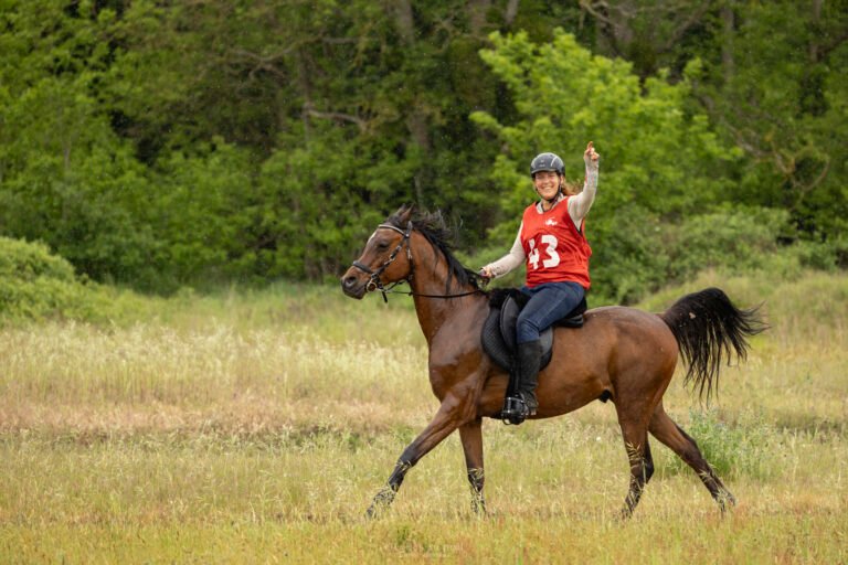 photo cheval arabe endurance en essonne