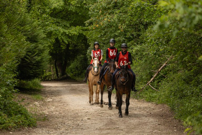 photo equitation cheval endurance essonne 3