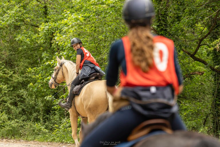 photo d'un cheval d'endurance en essonne