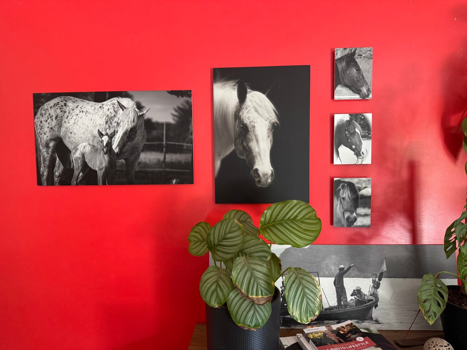 tirage impression photo 0302